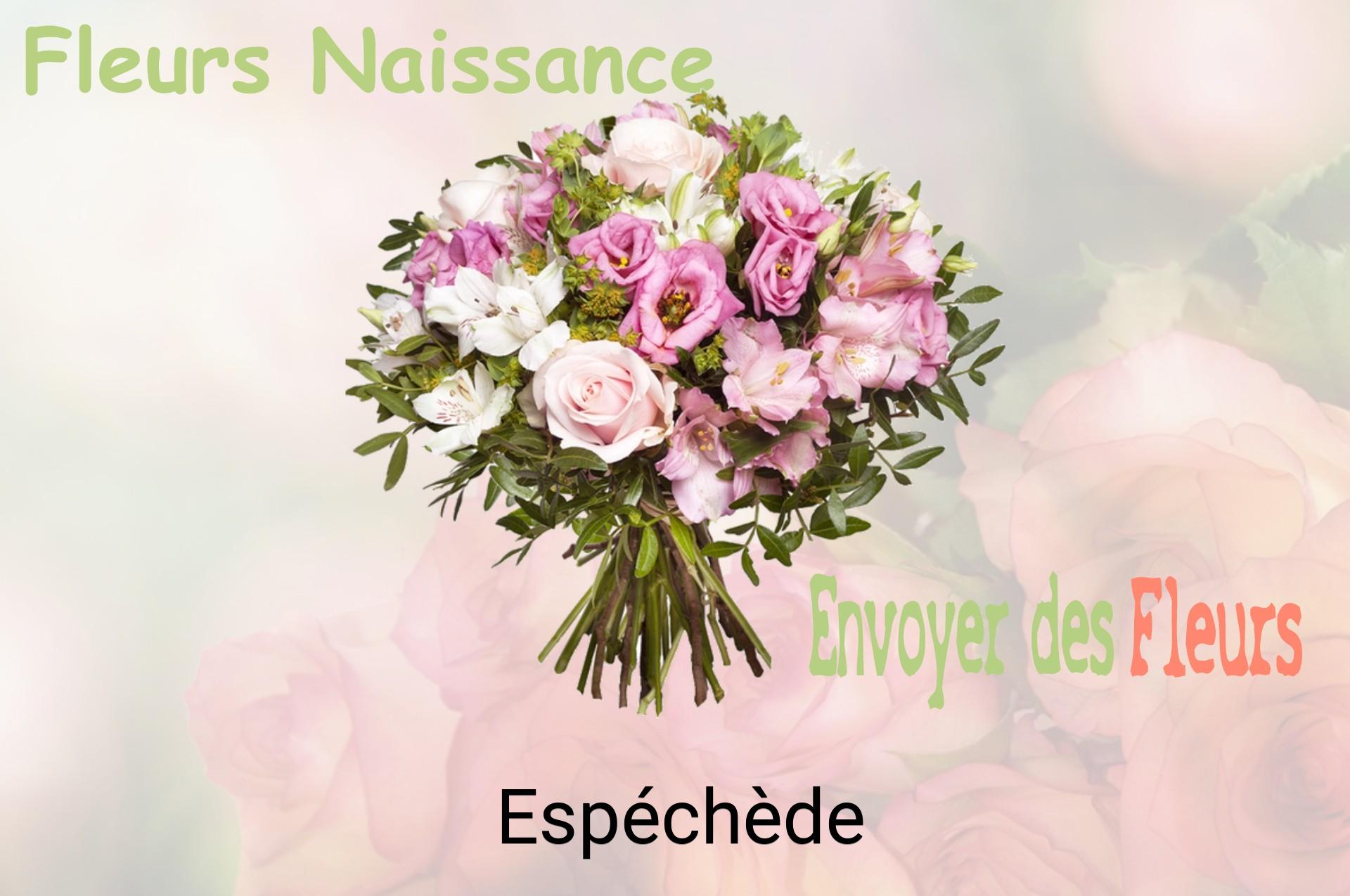 Bouquet de fleurs de naissance livré à Espéchède