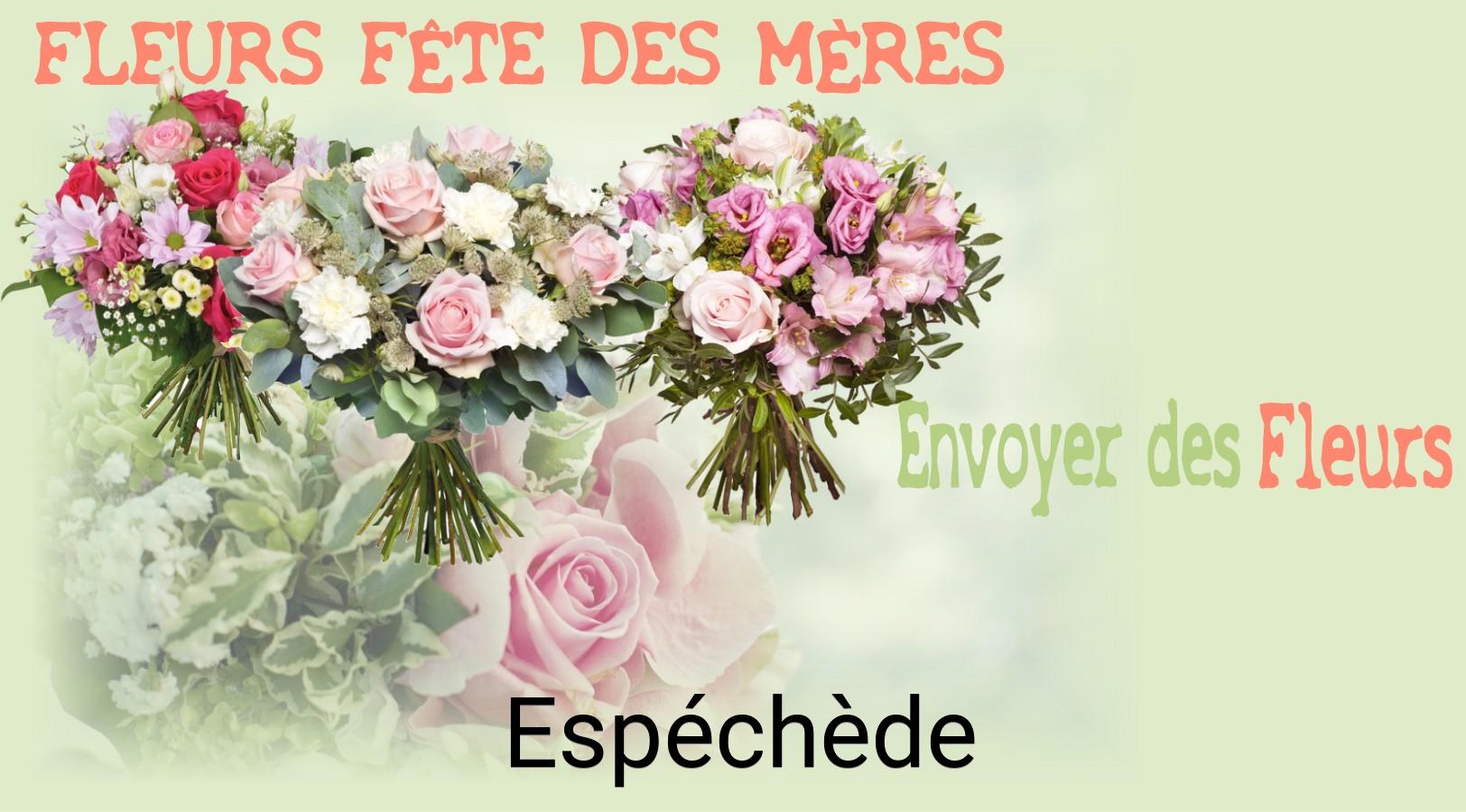 Bouquet de Fête des Mères livré à Espéchède